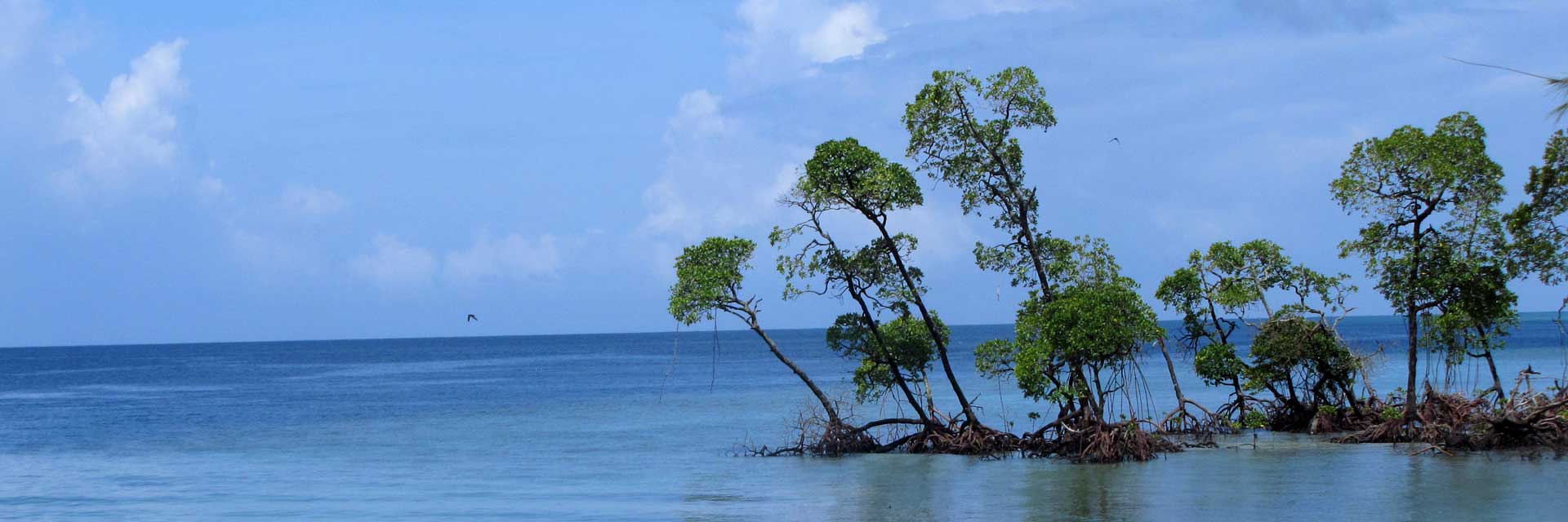 North Andaman 7 Nights 8 Days Semi Deluxe